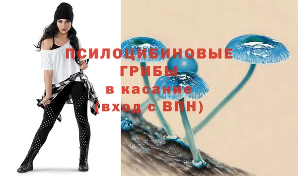 прущая мука Арсеньев